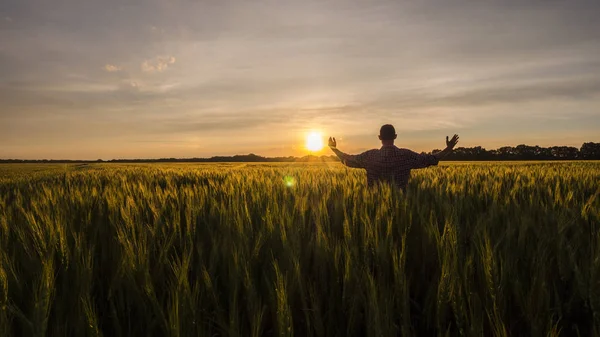 Silhuett av en bonde som står i ett fält med armar upp — Stockfoto