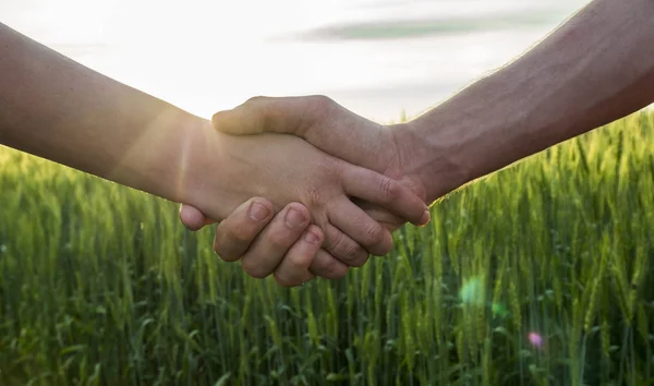 小麦畑を背景に握手を交わす2人の農家、クローズアップ — ストック写真