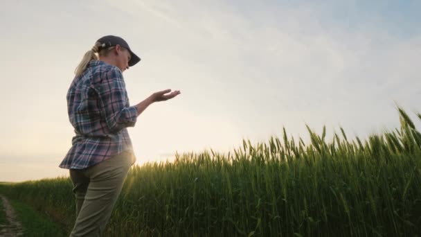 Woman farmer talking on the phone, standing in a picturesque place near a wheat field — 비디오