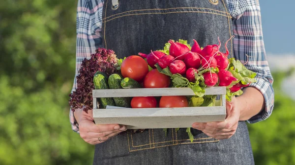 Man holds a box with vegetables on the background of trees and sky — Stock Photo, Image