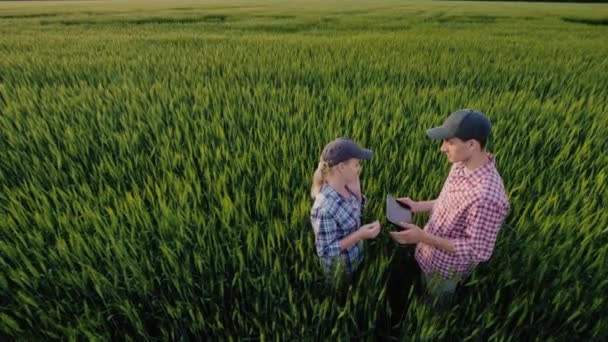 Dos agricultores se comunican en un campo de trigo. La mujer habla por teléfono, mi marido usa la tableta — Vídeos de Stock