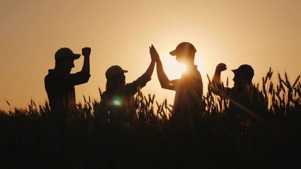 A group of young farmers makes the mark high five in a field of wheat. Success in agribusiness — Stock Photo, Image