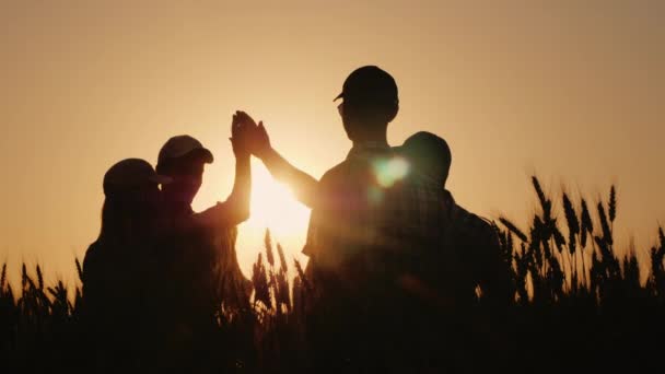 Skupina mladých rolníků dělá na poli pšenice vysokou pětku. Úspěch v agribyznyse — Stock video