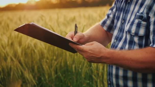 Vista lateral do agricultor assina o documento e aperta as mãos com um parceiro. No fundo de um campo de trigo — Vídeo de Stock