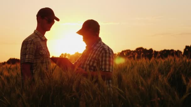 L'agricoltore firma un contratto sul campo, i partner commerciali si stringono la mano. Accordo agroalimentare — Video Stock