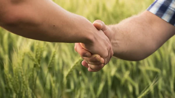 Un apretón de manos firme entre dos agricultores masculinos en el fondo de un campo de trigo . —  Fotos de Stock