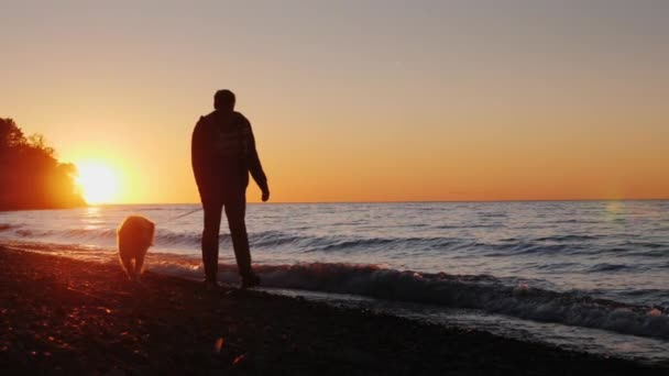 Samotny człowiek spacery z psem w pobliżu jeziora lub morza o zachodzie słońca. Widok z przodu, wideo w zwolnionym tempie — Wideo stockowe