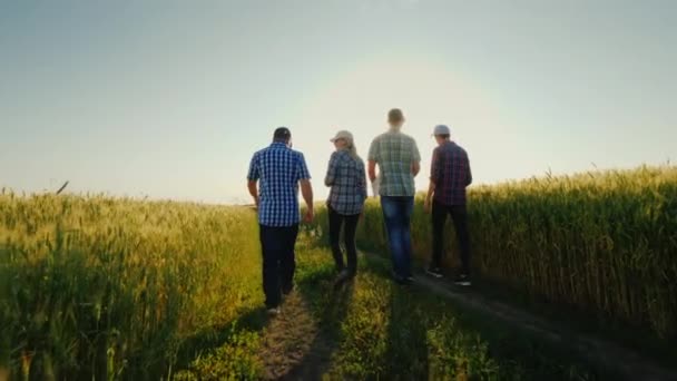Группа фермеров идет по пшеничным полям, разговаривает. Вид сзади — стоковое видео