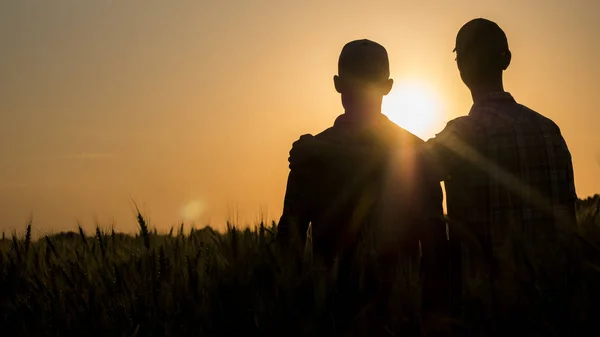 Twee mannen zachtjes knuffelen bij zonsondergang, achteraanzicht — Stockfoto