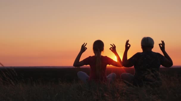 Femme âgée avec sa petite-fille admirer le coucher du soleil dans un endroit pittoresque — Video