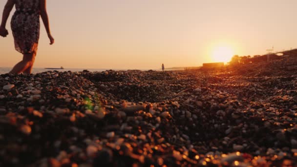 Νεαρή οικογένεια με ένα παιδί που περπατάει κατά μήκος της παραλίας στο ηλιοβασίλεμα, στο προσκήνιο μια παραλία με βότσαλα — Αρχείο Βίντεο