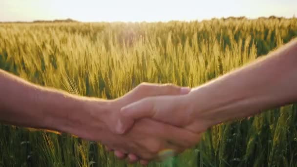 Vriendelijke handdruk van twee boeren op de achtergrond van een tarwe veld — Stockvideo