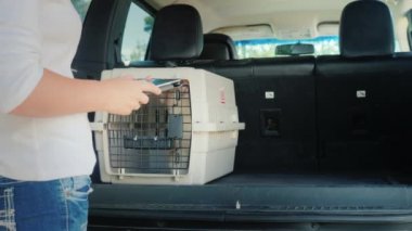 Bir araba bagajında köpekler ile nakliye hücreleri. Canlı hayvanların teslimatı ve satışı