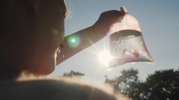 The buyer looks at the package with aquarium fish — Stock Video