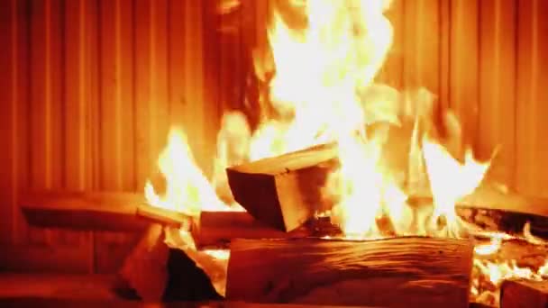 Firewood burns in a modern fireplace — Stock Video