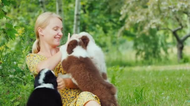 Mujer joven activa juega con varios cachorros en su patio trasero — Vídeos de Stock