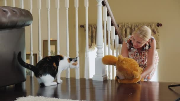 Une femme joue avec un chat, montre à un chat un ours en peluche. Le chat a peur des jouets. Vidéos drôles pour animaux — Video