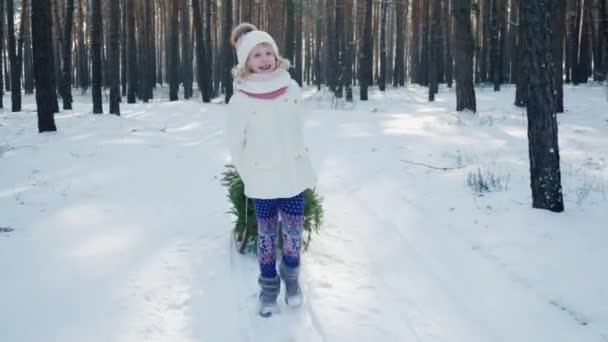 Uma criança carrega uma árvore de Natal em um trenó — Vídeo de Stock
