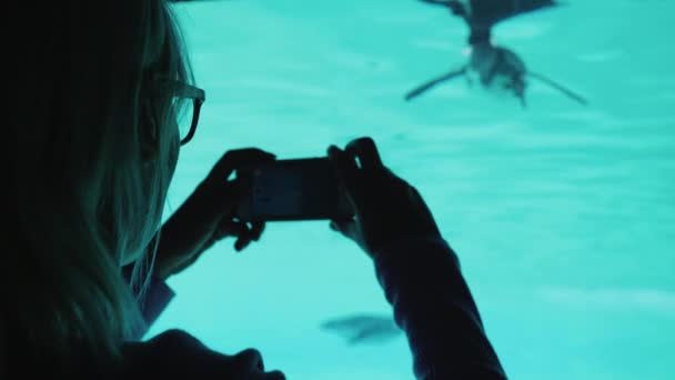 Visitante del acuario fotografía a un pingüino a través del vidrio en la pared de la piscina — Vídeos de Stock