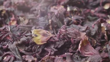 Makro fotoğraf video - geleneksel Mısır carcade çay