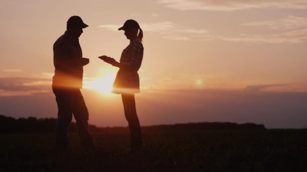 Dois agricultores trabalham no campo à noite ao pôr-do-sol. Um homem e uma mulher discutem algo, usam um tablet . — Vídeo de Stock