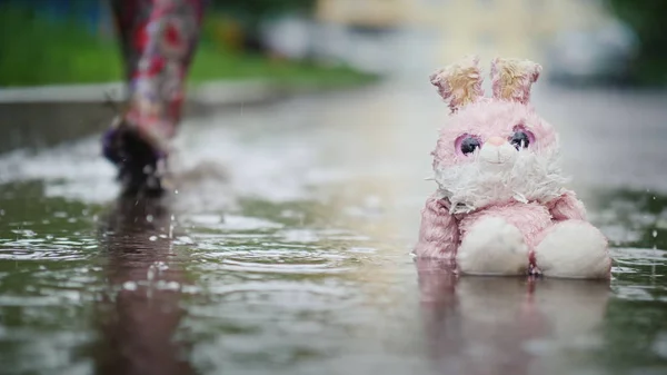 A damp, plush bunny is sitting in a puddle in the rain. Passer passes by. Indifference and coldness concept