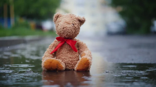 Lonely teddy bear sits in a puddle in the rain