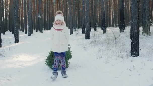 Una chica dulce lleva un árbol de Año Nuevo en un trineo. Va por un sendero cubierto de nieve en el bosque de invierno — Vídeos de Stock