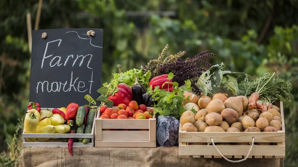 Um balcão com legumes frescos em um mercado de agricultores. Produtos hortícolas de produtores locais — Fotografia de Stock