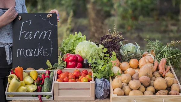 Boeren handen houden een bordje. Boerenmarkt in de buurt van de balie met seizoensgebonden groenten — Stockfoto