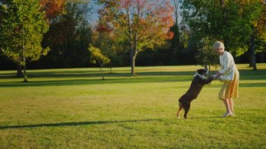 Aktif kadın parkta bir köpek ile oynuyor