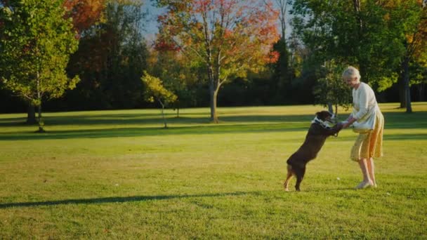 Активная женщина играет с собакой в парке — стоковое видео