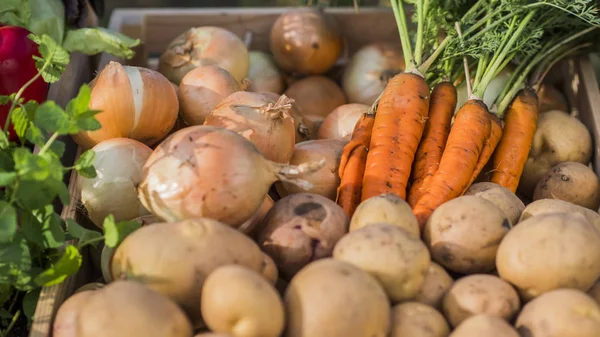 Çiftçi pazarında taze mevsim sebzeleri.