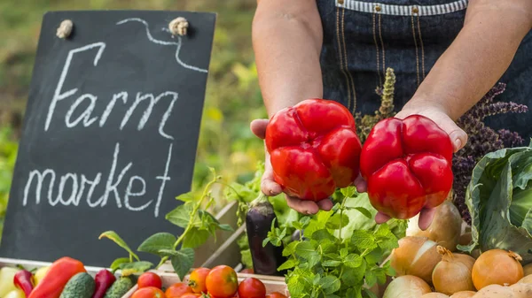 Руки фермеров держат два больших сладких красных перца на фоне прилавка с овощами — стоковое фото