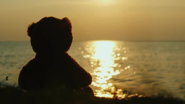 Silhouette d'ours en peluche regarde le lever du soleil sur la mer — Video