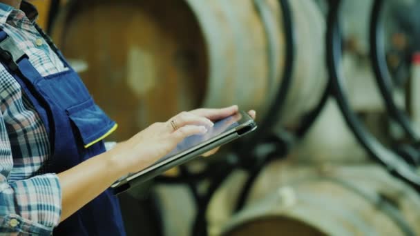 Hände eines Arbeiters mit einem Tablet auf einem Hintergrund von Weinfässern. arbeitet im Weingut — Stockvideo