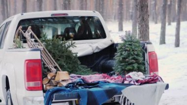 Genç bir adam bir yılbaşı ağacı bir kamyonetin arkasında nakliye olduğunu. Noel için hazırlanıyor