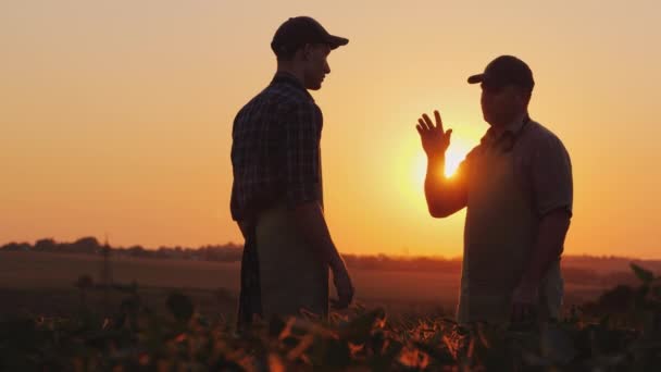 Acordo de agronegócio - dois agricultores apertam as mãos em um campo ao pôr do sol — Vídeo de Stock