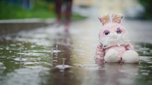 Een vochtige, pluche Haas zit in een plas in de regen. Passer passeert. Onverschilligheid en kou-concept — Stockvideo