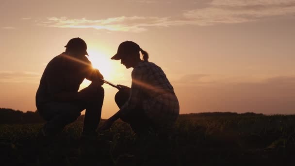 Silhouetten zweier Bauern - Männer und Frauen. Arbeit im Feld bei Sonnenuntergang, Studium der Pflanzentriebe, Verwendung einer Tablette — Stockvideo