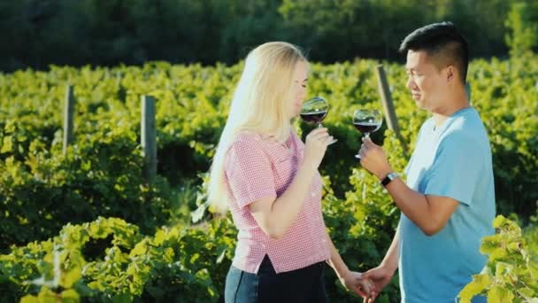 Casal multi-étnico no amor degustação de vinho em uma vinha, de mãos dadas. Passeio de lua de mel e vinho — Vídeo de Stock