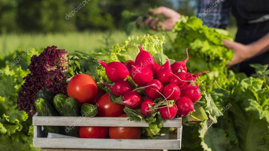 StockSeller