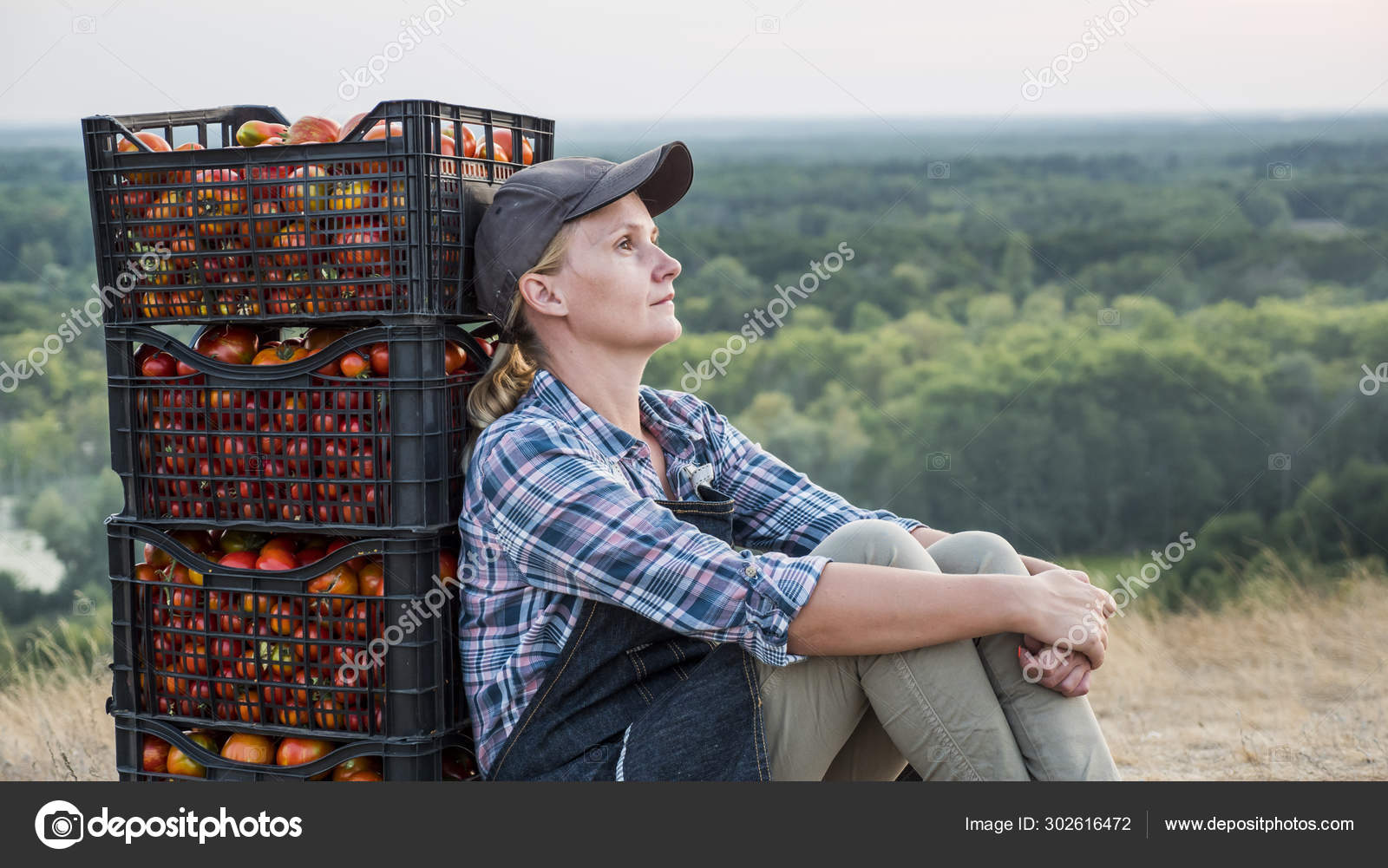Bäuerin ruht sich nach der Arbeit aus, sitzt neben Kisten mit Tomaten -  Stockfotografie: lizenzfreie Fotos © StockSeller 302616472