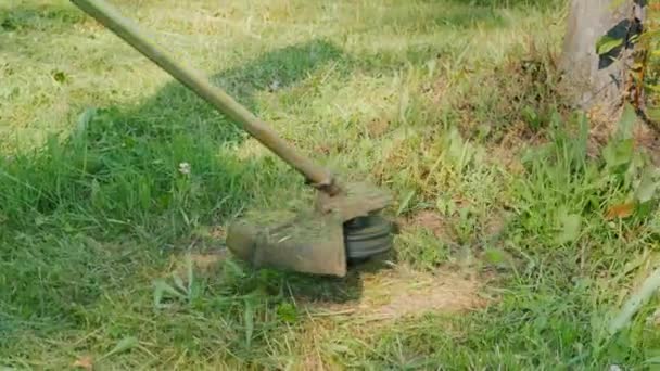 Tondeuse à tête tondue herbe avec une ligne rotative — Video