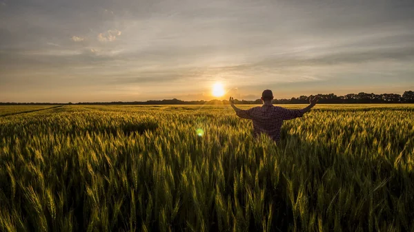 Ο νεαρός αγρότης θαυμάζει το χωράφι του με σιτάρι — Φωτογραφία Αρχείου