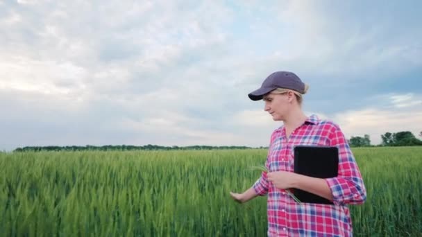 Young woman farmer palm ears of wheat — Stock Video
