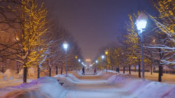 Красивая аллея, покрытая снегом в маленьком городке. Снежная зимняя погода — стоковое видео