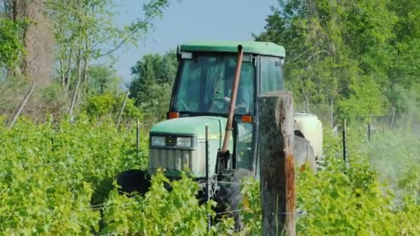 Уилсон, штат Нью-Йорк, США, июль 2019 года: Траулер со специальным оборудованием опрыскивает виноградник гербицидами — стоковое видео
