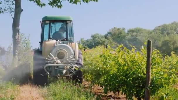 Wilson, NY, USA, červenec 2019: traktor se speciálním vybavením postříká vinici herbicidy. Zadní pohled