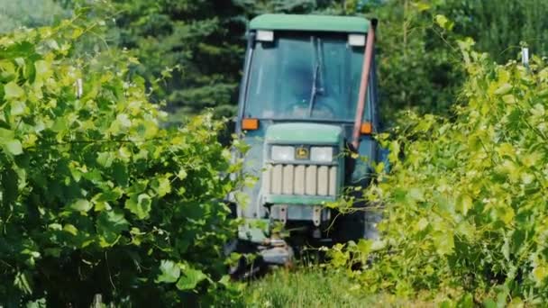 Wilson, NY, USA, juli 2019: tractor met speciale uitrusting spray de wijngaard met herbiciden — Stockvideo